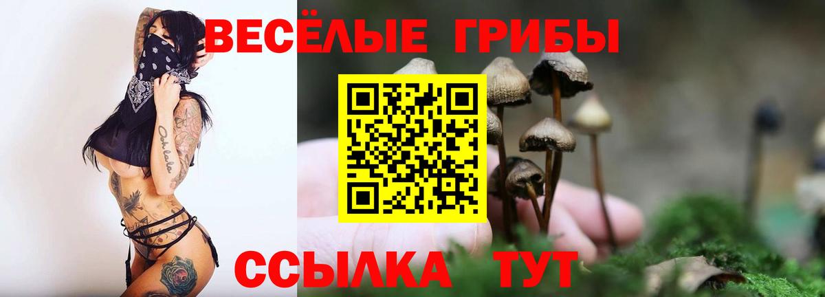 Псилоцибиновые грибы Psilocybe  наркотики  Бутурлиновка  Вход с VPN  Псилоцибиновые грибы прущие грибы 