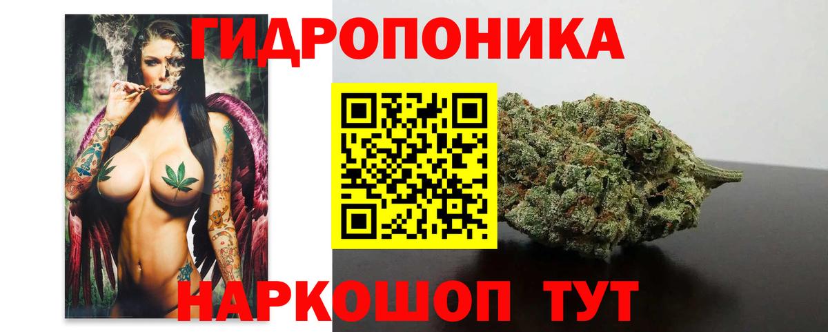 Конопля план Бутурлиновка